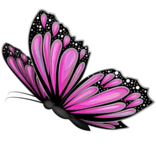 🦋 vlinder, roze, natuur, insect, vleugels, vliegend telegram sticker