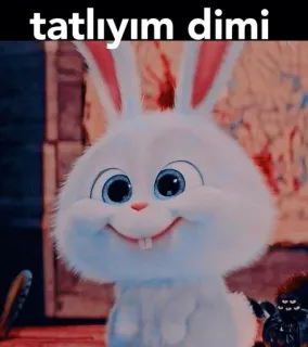 🥰 tatlıyım dimi 귀여운, 토끼, 토끼, 동물, 사랑스러운, 달콤한, 폭신한 whatsapp sticker