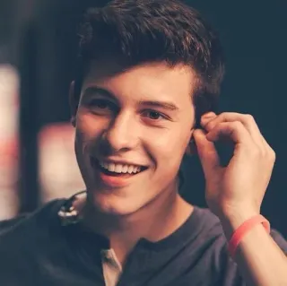 😁 Shawn Mendes singer, musician, celebrity, portrait, smiling, person telegram sticker