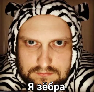 🦓 Я зёбра zebra, animal, hoodie, russian, meme, man, portrait telegram sticker