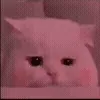 Videomoji 🐬 :: @ItsMeSithija telegram emojis 🥺