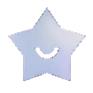 🌟