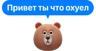 ❔ Привет ты что охуел orso, cartone animato, saluto, insulto, animale telegram sticker