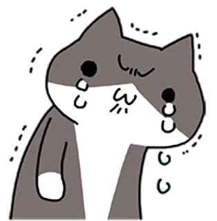😒 chat, pleurer, triste, larmes, animal, autocollant whatsapp sticker