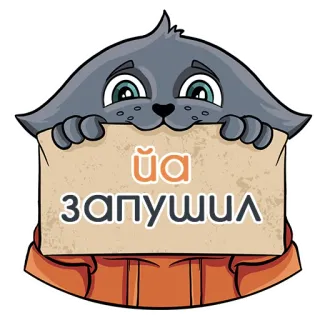 💩 йа запушил cat, animal, russian, text telegram sticker