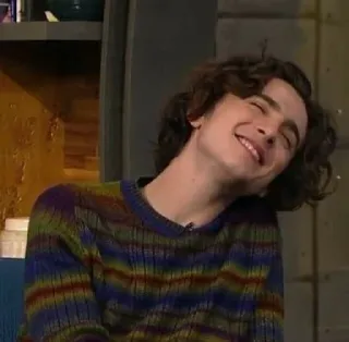🦇 Timothée Chalamet Timothée Chalamet, actor, retrato, celebridad, persona telegram sticker