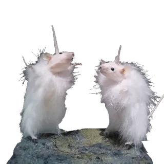 🐁 souris, rat, blanc, mignon, animal, rongeur whatsapp sticker