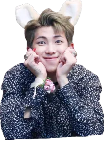 👦 RM RM, BTS, K-pop, bunny ears, idol, singer, Korean telegram sticker