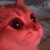 😍