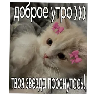 Больше стиков тут: @stikery4 telegram stickers