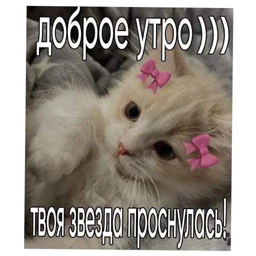 Больше стиков тут: @stikery4