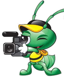 📷 formica, cartone animato, fotocamera, riprese, videografia whatsapp sticker