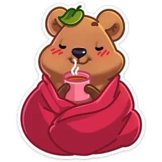 🍵 Bär, gemütlich, Tee, Decke, kawaii, süß, Aufkleber whatsapp sticker