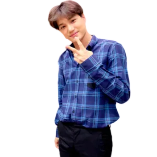✌️ persona, uomo, kpop, celebrità, segno di pace, exo whatsapp sticker
