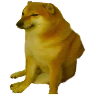 😔 Cheems cane, meme, carino, Cheems, animale, seduto telegram sticker