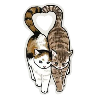 ❤ gatos, amor, animales, corazón, lindo, mascota whatsapp sticker