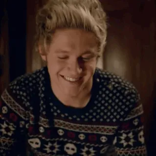 ✨ Niall Horan ไนออล ฮอแรน, นักร้อง, วันไดเรกชัน, คนดัง, ยิ้ม, เสื้อสเวตเตอร์ telegram sticker