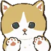 🐾