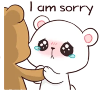 😞 I am sorry 사과, 슬픈, 미안, 곰, 만화 telegram sticker