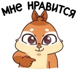 😍 다람쥐, 만화, 동물, 귀여운 telegram sticker