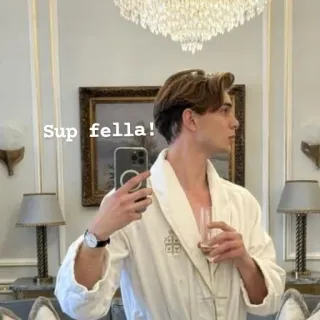 ✋ Sup fella! homem, selfie, roupão, hotel, luxo, lustre telegram sticker