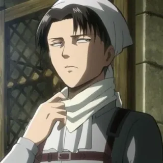 😒 Levi Ackerman Attack on Titan Anime, Limpeza, Serviços domésticos, Personagem, Sério, Levi, Ataque dos Titãs telegram sticker