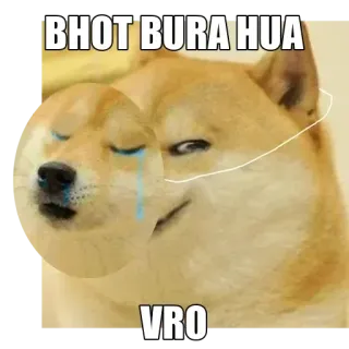 🤧 BHOT BURA HUA
VRO doge, meme, khóc, buồn, tiếng Hindi, meme trên mạng telegram sticker