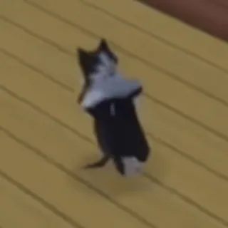 🕺 Katze, Tuxedo Katze, Tanzen, Lustig telegram sticker
