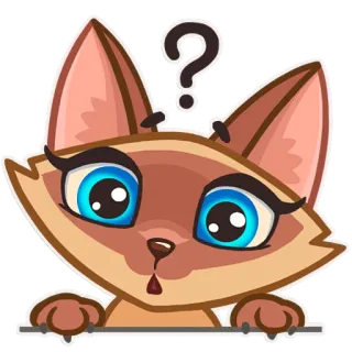 😯 cat, question, sticker, cute, cartoon, animal telegram sticker