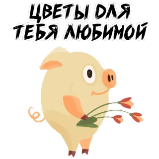 🌹 ЦВЕТЫ ДЛЯ ТЕБЯ ЛЮБИМОЙ 돼지, 꽃, 사랑, 귀여운, 동물, 인사, 축하 whatsapp sticker
