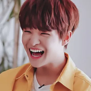 🐼 whatsapp sticker