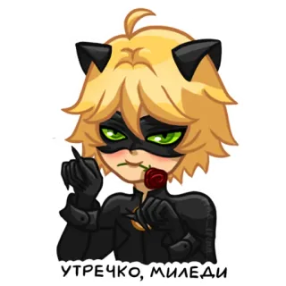 ☺️ Cat Noir Miraculous: Tales of Ladybug & Cat Noir УТРЕЧКО, МИЛЕДИ Cartoon, Anime, Chat Noir, Miraculous Ladybug, Rose, Romantique telegram sticker