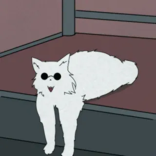 🐈 weiße Katze, Katze, Tier, lustig, Cartoon, Sticker telegram sticker