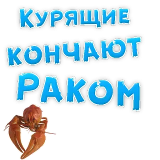 😃 КУРЯЩИЕ
КОНЧАЮТ
РАКОМ smoking, cancer, warning, health, russian, text, slang telegram sticker
