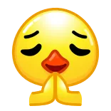 🙏