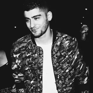 ✖️ Zayn Malik 泽恩·马利克, 歌手, 名人, 肖像, 男人 telegram sticker