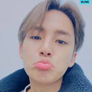 💎 whatsapp sticker