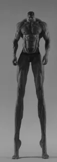 💪 Muskel, Bodybuilder, Anatomie, Fitness, Meme, Mann whatsapp sticker