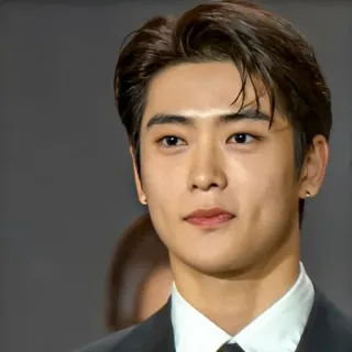 📸 肖像, 男人, 脸, 人, 韩国 telegram sticker