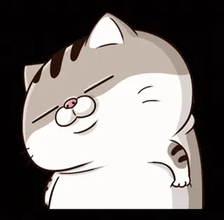 😂 cat, cute, animal, sticker, pet telegram sticker