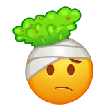 🤢