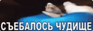 🌟 СЪЕБАЛОСЬ ЧУДИЩЕ Russian, offensive, text, meme whatsapp sticker