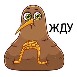 ⏰ ЖДУ burung kiwi, kartun, menunggu, burung, cokelat, mata telegram sticker
