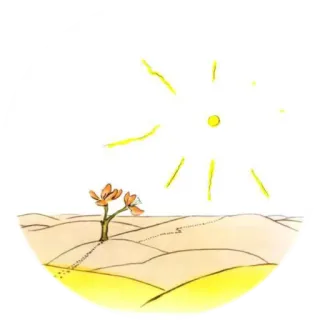 👑 sol, desierto, flor, arena, naturaleza, planta telegram sticker