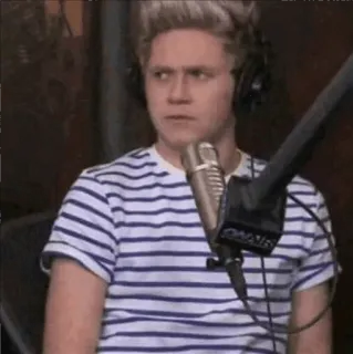 🍃 Niall Horan 나일 호란, 원 디렉션, 가수, 유명인, 음악가 telegram sticker