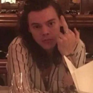 🖕 Harry Styles harry styles, middle finger, offensive gesture, celebrity, singer, pop star telegram sticker
