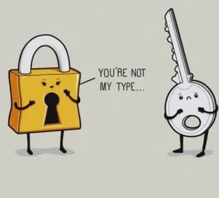 🙅‍♀ YOU'RE NOT MY TYPE... Schloss, Schlüssel, Cartoon, Ablehnung, Traurig, Humor whatsapp sticker