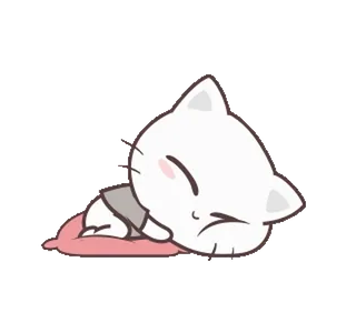 😴 gato, dormido, lindo, kawaii, almohada, animal whatsapp sticker