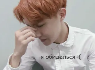 😞 я обиделся :( sad, upset, disappointed, crying, emotional telegram sticker