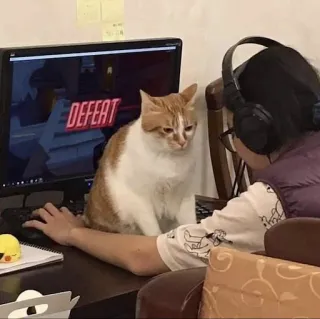 😨 DEFEAT Katze, Gamer, Niederlage, Gaming, Headset, Computer, Haustier telegram sticker